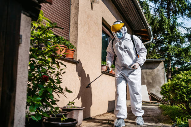 Best Best Pest Control Companies  in Utica, NY