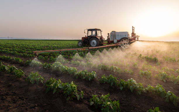 Pest Control Cost in Utica, NY