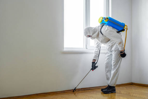 Best Pest Control Near Me in Utica, NY