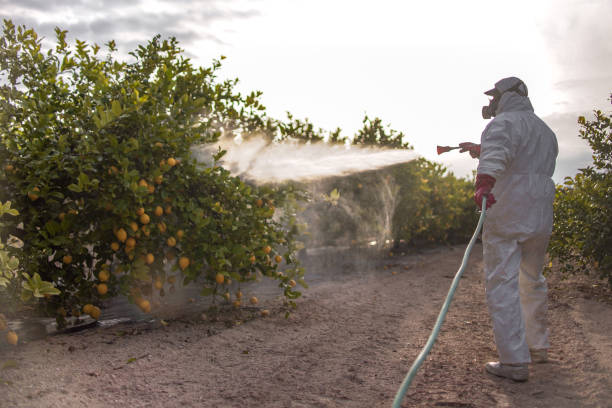 Best Pest Removal Services  in Utica, NY