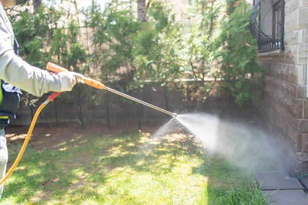 Best Termite Control Services  in Utica, NY