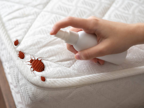 Best Best Pest Control Companies  in Utica, NY