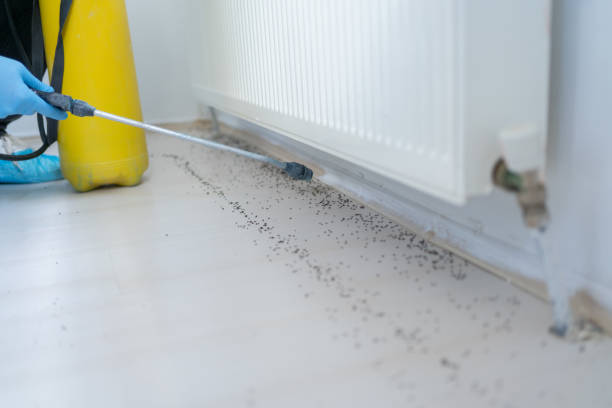 Best Pest Control Near Me  in Utica, NY